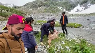 چار دن کا ناقابلِ فراموش سفر: شندور لیک سے جاز بانڈے تک پہاڑوں میں ہائیکنگ