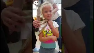 Девочку укусила змея 