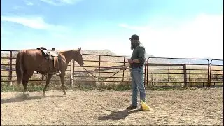 Part 2 - Philosophy Of Lunging Your Horse