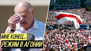 Бацька роет себе яму: Лукашенко открытым текстом начал угрожать протестующим