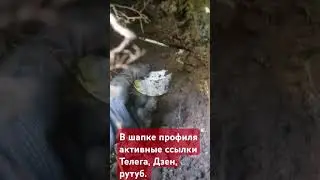 #ютуб #просел #информация для зрителей #короткоевидео #короткое #shorts #short