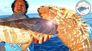 Fishing Frenzy in Anamur | Anamur Fishing Part 2