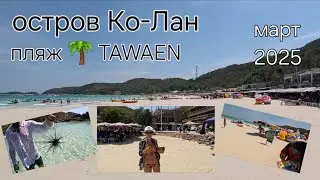 ПАТТАЙЯ. КО-ЛАН. Прогулка по пляжу 🌴 TAWAEN. Встреча с друзьями.