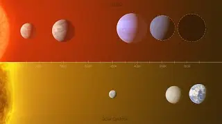 Exoplanets in the L 98-59 system