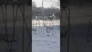 1 марта 2022 г.