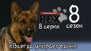 Комиссар Рекс, 8 сезон, 8 серия «Всегда умирает один»