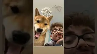 😁 МАРТИ ЛИКУЕТ - СТОРИС ЭДИСОН МАЙНКРАФТ 