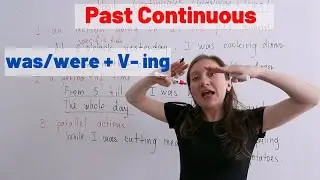 Past Continuous. was/were + ing  Lesson #9