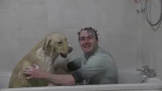 A Boy and His Dog - Joe Maw Vlog Episode 108