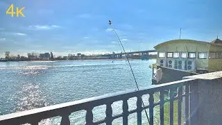 Рыбалка на набережной Ростова на Дону. Рыбалка в ноябре.