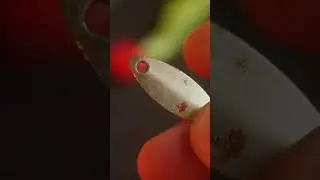 Восстанавливаем приманку правильно!