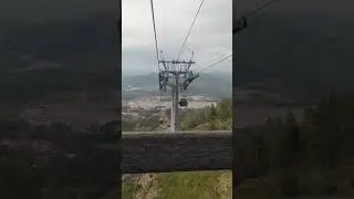 3 августа 2023 г.