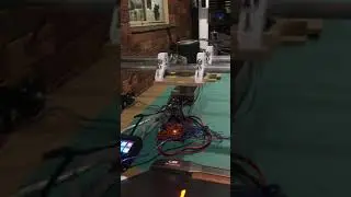 LowRider 2 (mostly 3d printed CNC Machine ) test 01