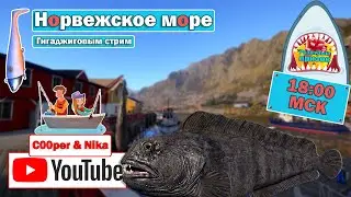 Ловим на гига-джиг •  Стрим с Купером и Вероникой •  Норвежское Море • Русская Рыбалка 4
