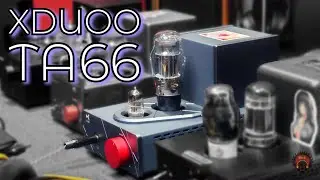 Darkvoice Killer? // Xduoo TA66 // Z Reviews