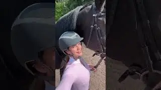 just a horse girl barbie with her giant horse
