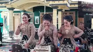 Gending kembang kopi sambel kemangi sareng mbak Dwi Tari Marfu SekarLaras nyamleng konco leyeh leyeh