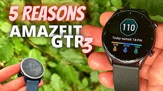 5 Reasons Why Amazfit GTR3 Better Than Garmin Venu 2 Review