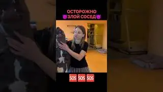 🆘ОСТОРОЖНО🆘 👿ЗЛОЙ СОСЕД👿 