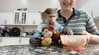 Соскучились ? Ники и Луна с вами кушают сегодня 😋