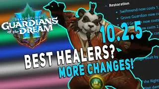 10.2.5 BEST HEALERS (M+ & Raid) | *NEW* Healer Buffs & Changes | Dragonflight