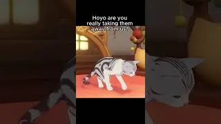 I will miss the cat event (Genshin Impact)