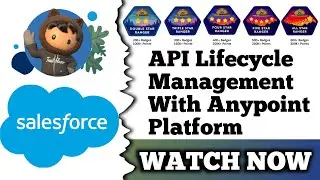 API Lifecycle Management with Anypoint Platform | Salesforce | Quiz Solution