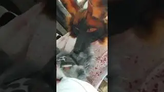 новая маска! Его зовут Демон!😈 