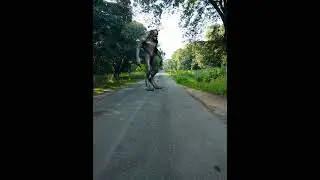 Alien creature in motions  / green screen alien / vfx / creatures