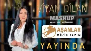 Viyan Dilan - ( Seven Hiç Böyle Yapar mı) Ne istedin- ( officall Video)