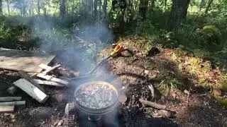 Море грибов !!!! ( варим в лесу,а то не довезем)