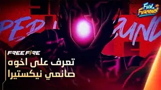 تعرف على حزمات اخوة صانعي نيكستيرا