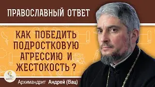 Как победить подростковую агрессию и жестокость?  Архимандрит  Андрей (Вац)