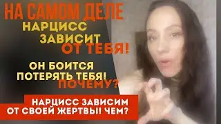 Нарцисс зависит от тебя... потому, что... Как нарцисс зависит от своей жертвы?