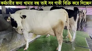 কর্মচারী বিদেশ চলে যাবে তাই খামারের সব গাভী বিক্রি করে দিচ্ছেন গাজীপুরের মশিউর ভাই cow price 2022