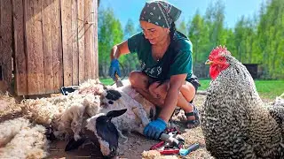 На усадьбе: Модный приговор, диспансеризация, беспорядочные половые связи и суррогатное материнство.