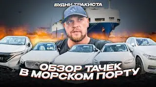 ОБЗОР ТАЧЕК В МОРСКОМ ПОРТУ | БУДНИ ТРАКИСТА