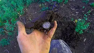 ВОТ ДЛЯ ЧЕГО В СТАРИНУ САЖАЛИ ДУБ В ПОЛЕ!