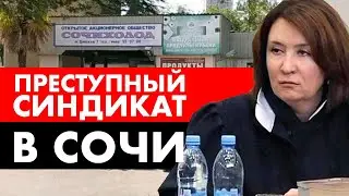 Преступный синдикат в Сочи. Махинации с Сочихолод. Золотая судья Хахалева