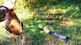 Охота На Утку С Пневматикой 2020
