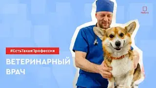 #ЕстьТакаяПрофессия: ветеринарный врач!