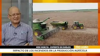 Impacto de incendios en la producción agrícola