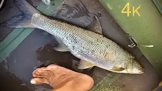 Рыбалка на перемёт (резинку) с лодки. Рыбалка 2020. Ахтуба. Август.