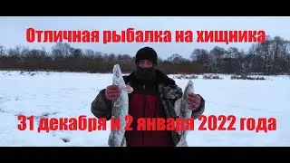 Рыбалка. Зимняя рыбалка на жерлицы. Щука и судак на жерлицы. Рыбалка в Пензенской области.