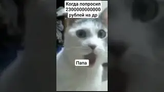 мем