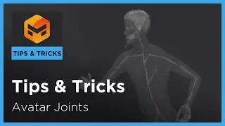 Tips and Tricks: Avatar Joints
