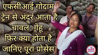 FCI के गोदामों में कैसे रखा जाता है अनाज, कहां से आता है जानिए सबकुछ | FCI Godown Phulwari Sharif
