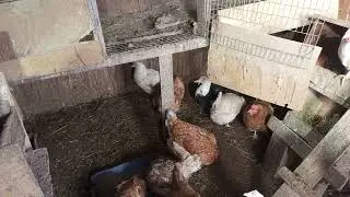 У меня выходной. Значит для вас новое видео