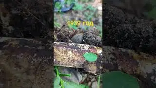 часть подшлемника 