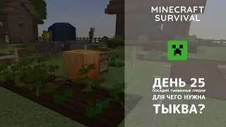 День 25. Тыквенные грядки - Minecraft